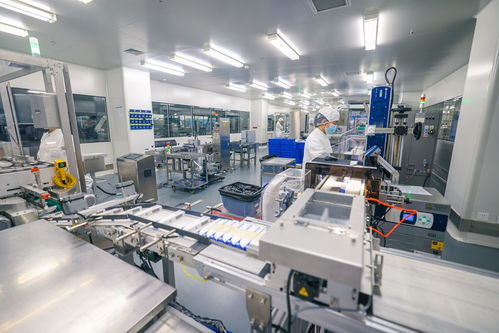 長春新區(qū)向“新”求“質(zhì)”推動民營經(jīng)濟(jì)發(fā)展壯大，商業(yè)綜合體管理服務(wù)再升級